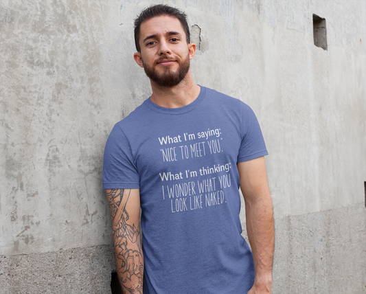 Nice To Meet You Naked Shirt, Shirts for Pride, LGBTQIA, gay
