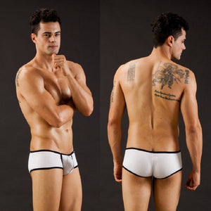 WANG JIANG Modal Hipster Briefs or Trunks (5 Colors)