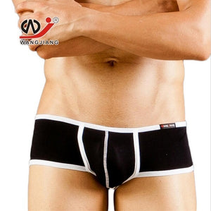 WANG JIANG Modal Hipster Briefs or Trunks (5 Colors)