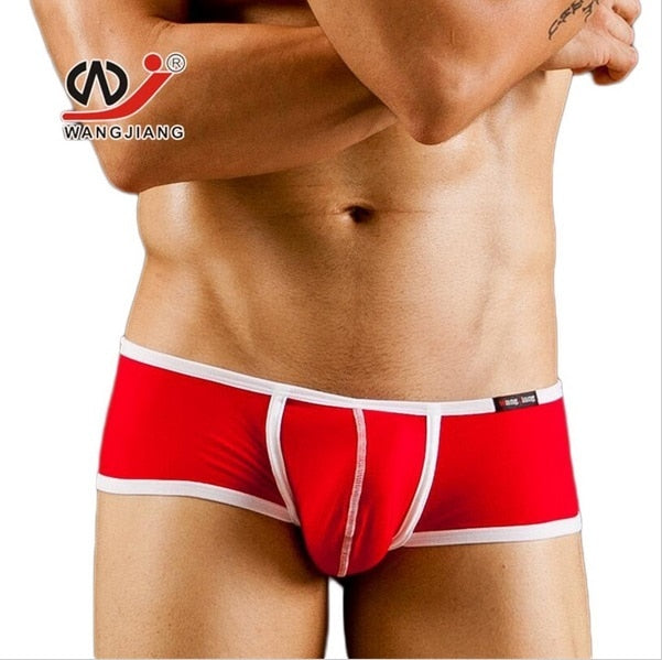 WANG JIANG Modal Hipster Briefs or Trunks (5 Colors)