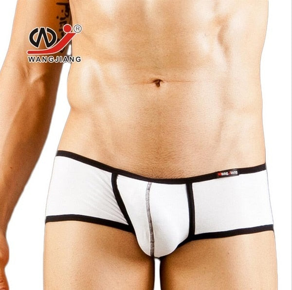 WANG JIANG Modal Hipster Briefs or Trunks (5 Colors)
