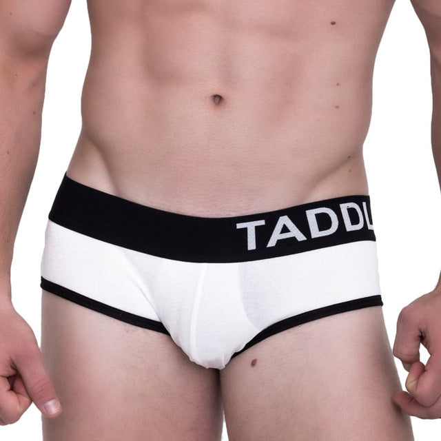 Taddlee 2 Pack Low Rise Classic Cotton Brief with Pouch, Underwear, Mainstreet Male, Mainstreet Male