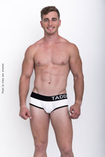 Taddlee 2 Pack Low Rise Classic Cotton Brief with Pouch, Underwear, Mainstreet Male, Mainstreet Male