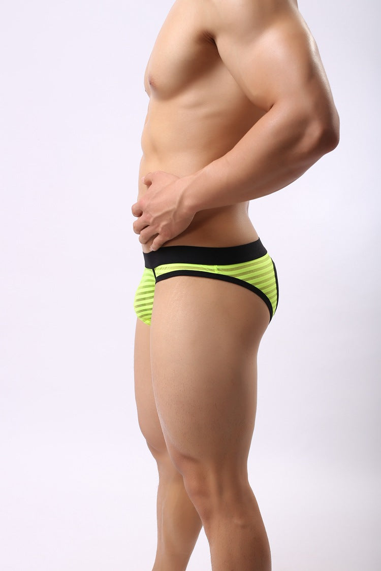 Sheer Stripes Backless Brief (5 Colors), Underwear, Mainstreet Male, Mainstreet Male