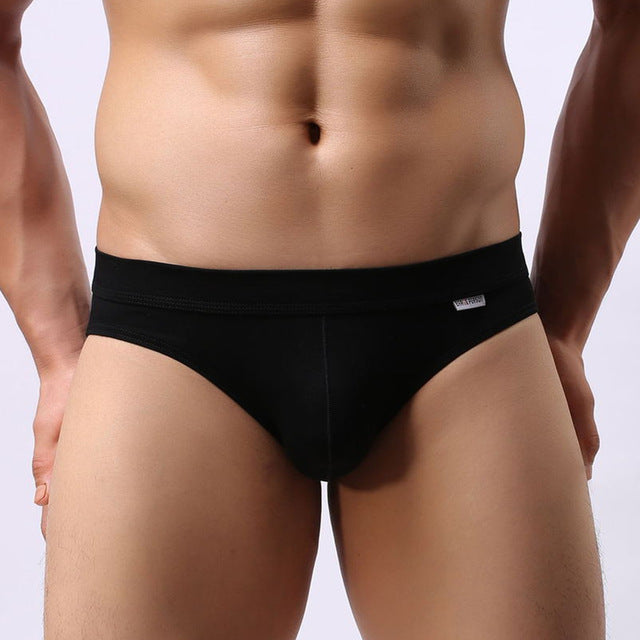Super Soft Comfortable Modal Briefs, Underwear, Mainstreet Male, Mainstreet Male