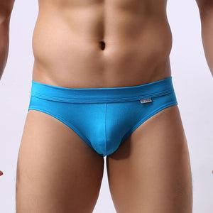 Super Soft Comfortable Modal Briefs, Underwear, Mainstreet Male, Mainstreet Male