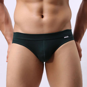 Super Soft Comfortable Modal Briefs, Underwear, Mainstreet Male, Mainstreet Male