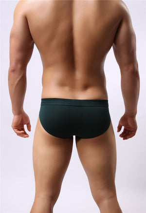 Super Soft Comfortable Modal Briefs, Underwear, Mainstreet Male, Mainstreet Male