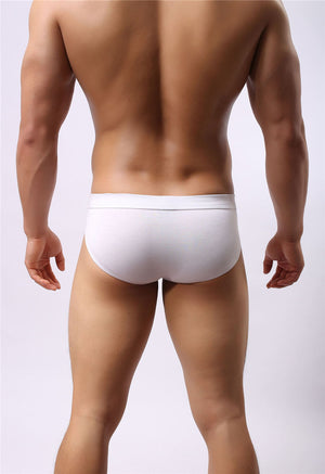 Super Soft Comfortable Modal Briefs, Underwear, Mainstreet Male, Mainstreet Male