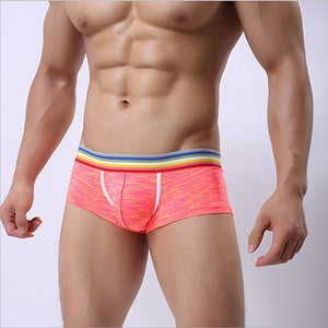 Combo Color Trunk, Underwear, Mainstreet Male, Mainstreet Male