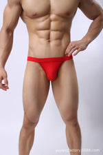 DANJIU Low-Waist Modal Bikinis (5 Colors), [product_type], Mainstreet Male, Mainstreet Male
