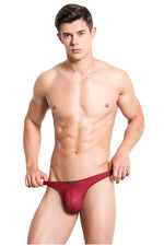 KWAN.Z Low Rise Mesh Bikini (5 Colors), Underwear, Mainstreet Male, Mainstreet Male