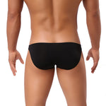QWQINGWU Nylon Spandex Bikini (4 Colors), [product_type], Mainstreet Male, Mainstreet Male