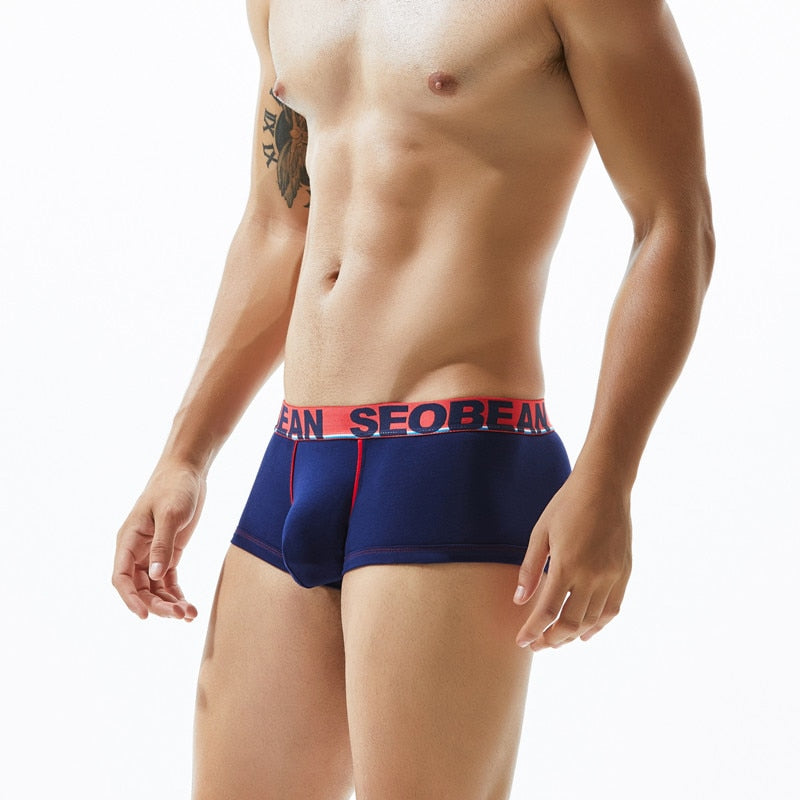 SEOBEAN Cotton Trunks (3 Colors), Underwear, Mainstreet Male, Mainstreet Male